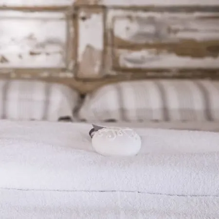 Corte Di Bonifacio Typical Bed & Breakfast *